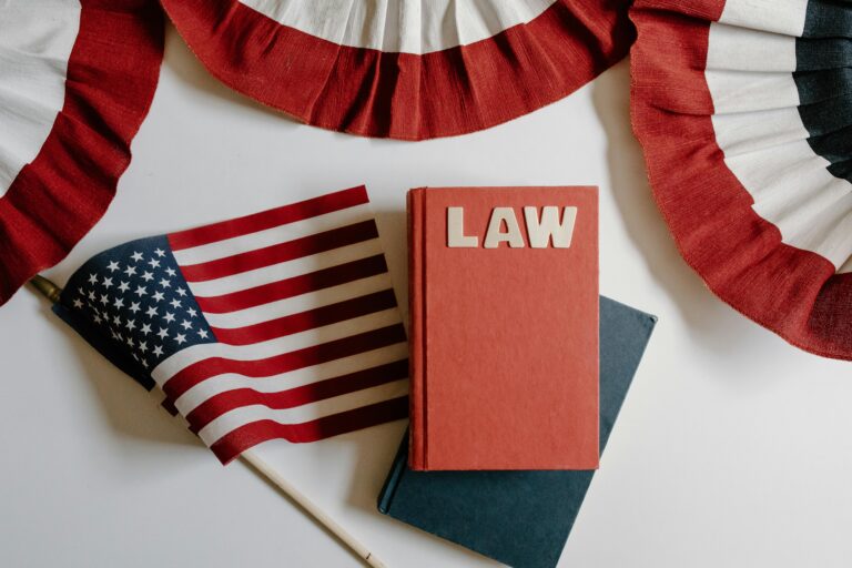 Constitutional Law Course